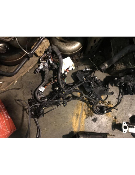 Faisceau moteur BMW SERIE 1 (F20) 