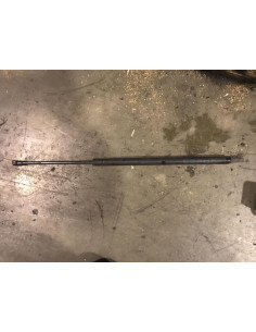 Verin de coffre BMW X5 E53 Diesel