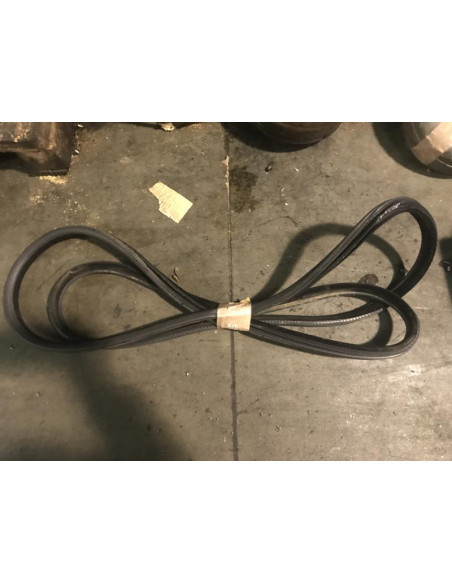 Joint de porte arriere droite BMW X5 E53 Diesel