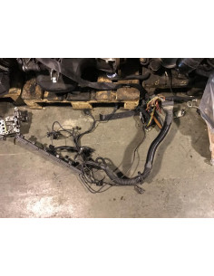 Faisceau moteur BMW  