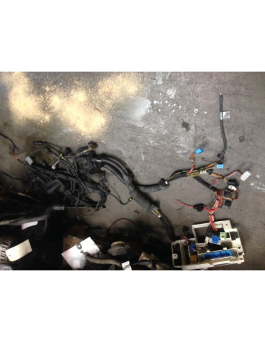 Faisceau moteur BMW X5 E53 