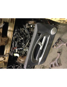 Panneau de porte avant gauche MINI  