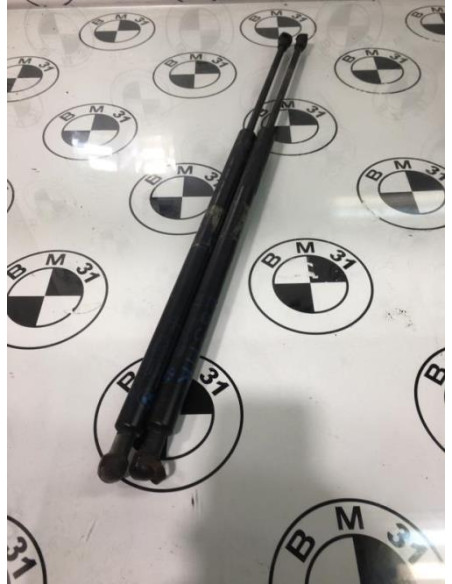 Verin de coffre BMW X5 E53 