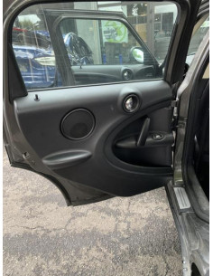 Panneau de porte arriere gauche MINI MINI 2 R60 COUNTRYMAN BREAK Essence