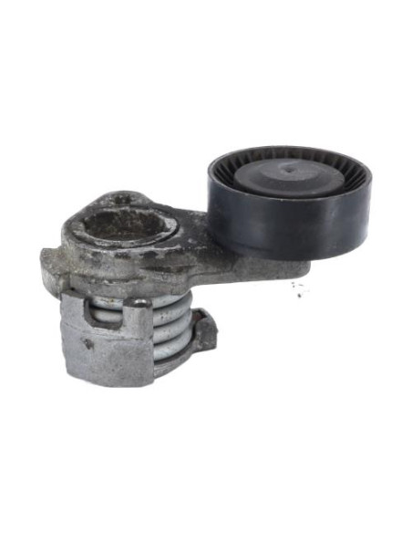 Galet tendeur BMW SERIE 1 E81 