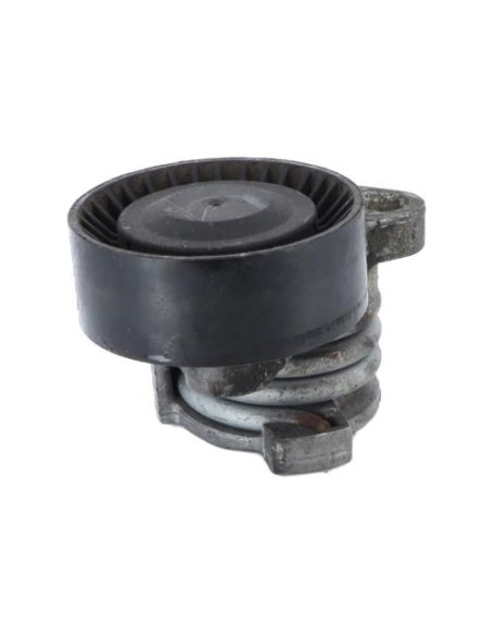 Galet tendeur BMW SERIE 1 E81 