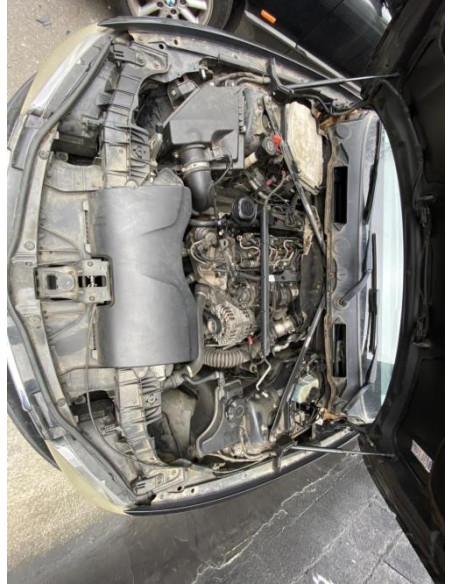 Charniere de capot BMW SERIE 1 E87 PHASE 2 Diesel