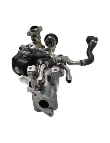 Radiateur EGR BMW X6 F16 Diesel