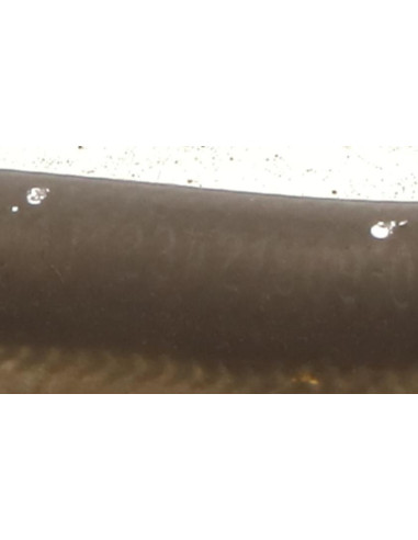 Durite BMW X3 E83 PHASE 2 Diesel