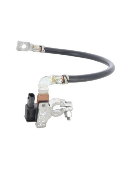 Cosse de batterie BMW SERIE 1 F21 PHASE 1 Diesel