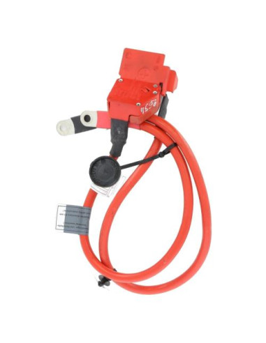 Cosse de batterie BMW SERIE 1 F21 PHASE 1 Diesel