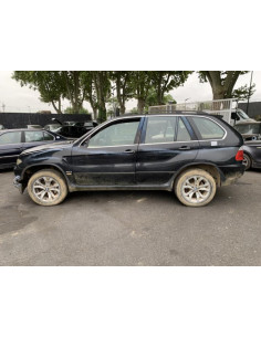 Porte arriere gauche BMW X5 E53 Diesel