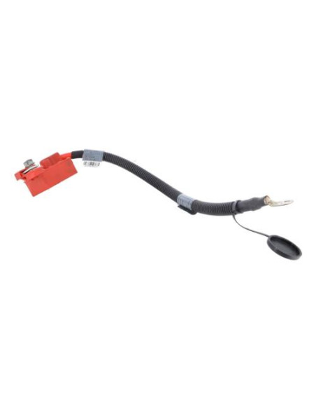 Cosse de batterie BMW X5 E70 PHASE 1 Diesel