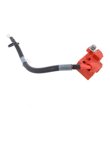 Cosse de batterie BMW X5 E70 PHASE 1 Diesel