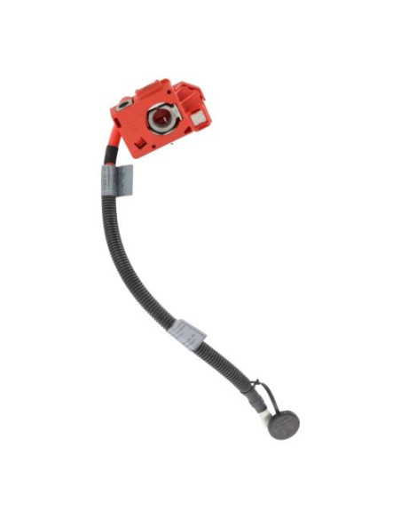 Cosse de batterie BMW X5 E70 PHASE 1 Diesel