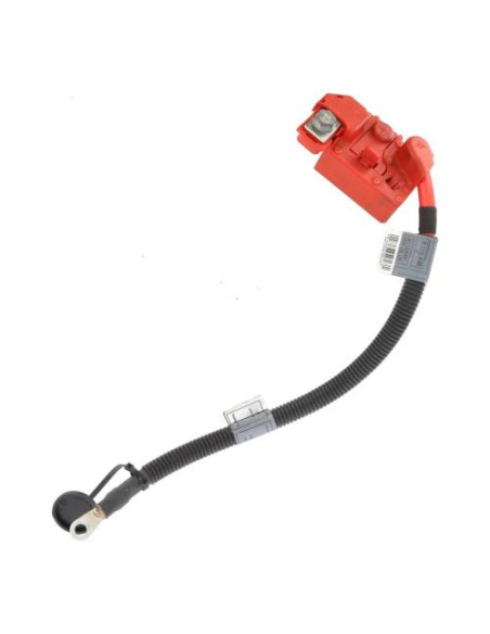 Cosse de batterie BMW X5 E70 PHASE 1 Diesel