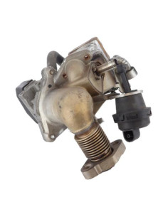 Radiateur EGR BMW SERIE 3 E91 TOURING PHASE 2 BREAK Diesel 2