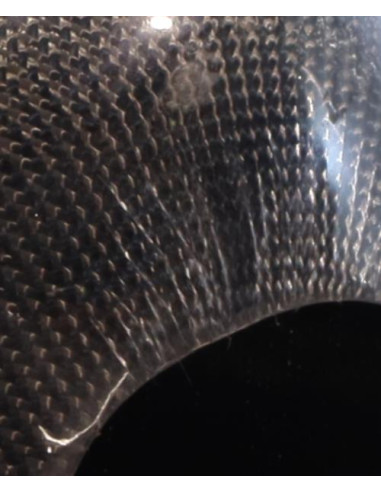 Coquille de retroviseur droit MINI MINI 3 F56 