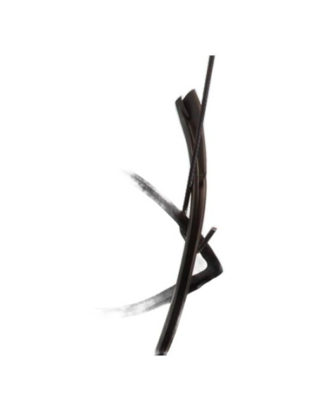 Pare brise BMW SERIE 6 E63 COUPE 