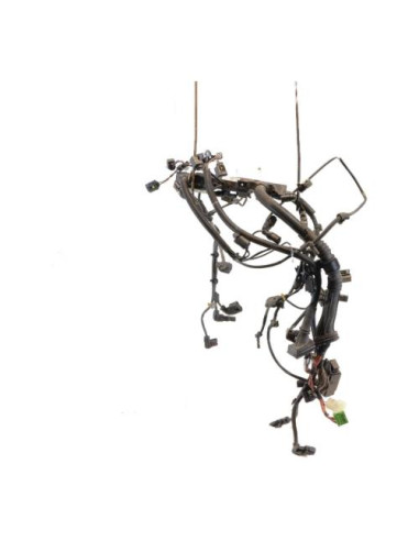 Faisceau moteur BMW X3 F25 PHASE 1 Diesel