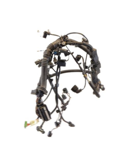 Faisceau moteur BMW X3 F25 PHASE 1 Diesel