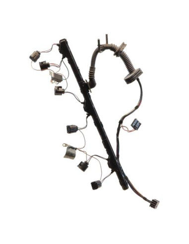 Faisceau (allumage) BMW SERIE 5 E60 PHASE 1 Essence