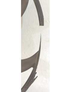 Viscocoupler BMW X5 E70 PHASE 1 Diesel 2