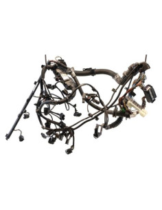 Faisceau moteur BMW X5 F15 Diesel