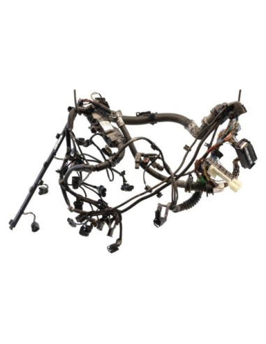 Faisceau moteur BMW X5 F15 Diesel