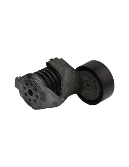 Galet tendeur BMW SERIE 1 E81 Essence