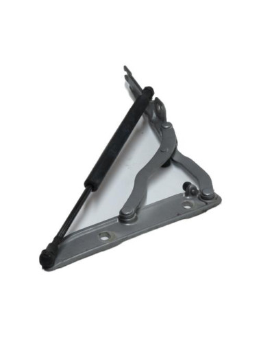 Charniere de hayon BMW SERIE 3 E46 COUPE PHASE 2 Diesel