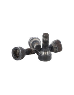 Boulons antivol roue BMW SERIE 5 E39  2