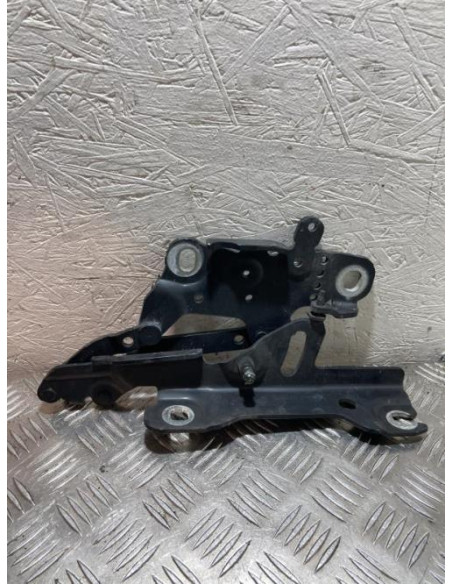 Charniere de capot BMW SERIE 1 F20 PHASE 2 Diesel