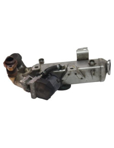 Radiateur EGR BMW SERIE 1 F20 PHASE 1 Diesel 2