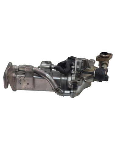 Radiateur EGR BMW SERIE 1 F20 PHASE 1 Diesel