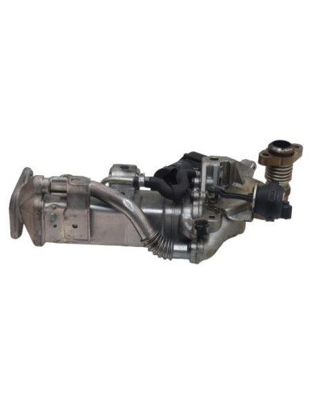 Radiateur EGR BMW SERIE 1 F20 PHASE 1 Diesel