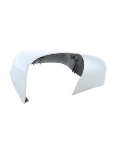 Coquille de retroviseur droit BMW X5 E53  2