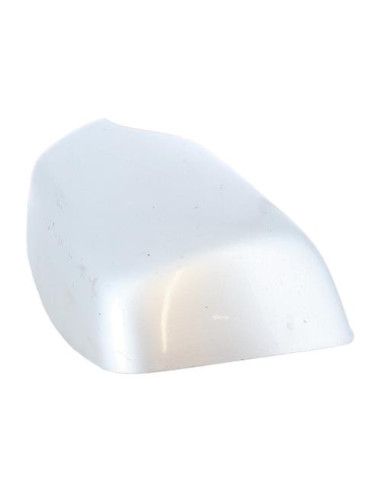 Coquille de retroviseur droit BMW X5 E53 