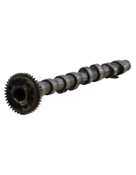 Arbre a came BMW SERIE 1 E87 PHASE 2 Diesel