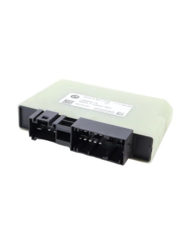 Calculateur BMW X1 U11 