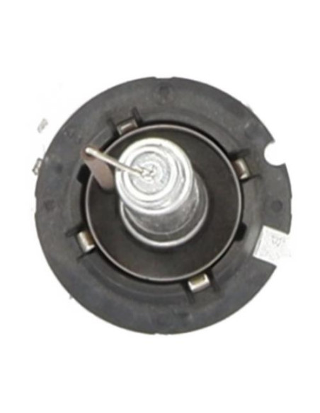 Ampoule xenon BMW SERIE 6 E63 COUPE PHASE 1 Essence