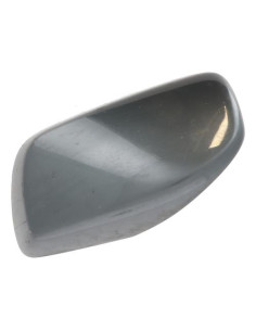 Coquille de retroviseur droit BMW SERIE 5 E60 