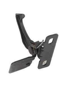 Capot BMW Z4 E85 ROADSTER PHASE 1 CABRIOLET Essence