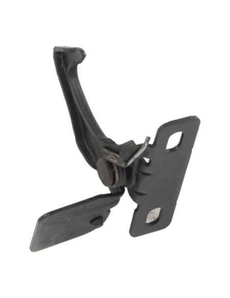 Capot BMW Z4 E85 ROADSTER PHASE 1 CABRIOLET Essence