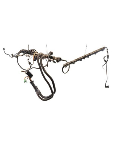 Faisceau moteur BMW SERIE 5 E60 PHASE 1 Essence