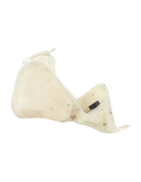 Vase de lave glace BMW SERIE 5 E39 PHASE 2 Diesel