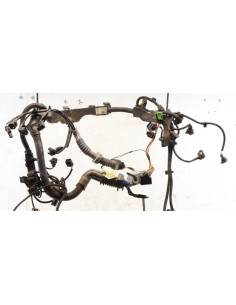 Faisceau moteur BMW X6 E71 PHASE 1 Diesel 2