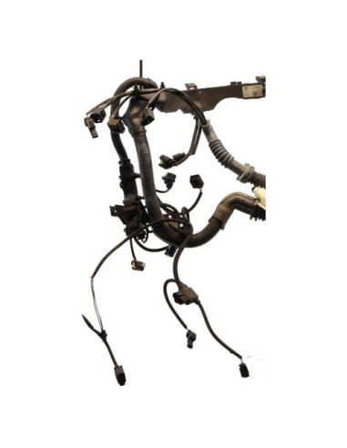 Faisceau moteur BMW X6 E71 PHASE 1 Diesel