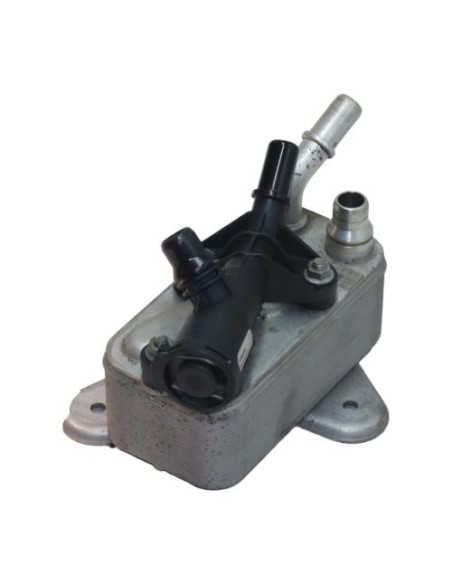 Radiateur huile BMW X6 E71 PHASE 1 Diesel