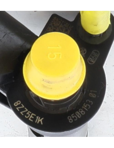 Injecteurs BMW X5 F15 Diesel